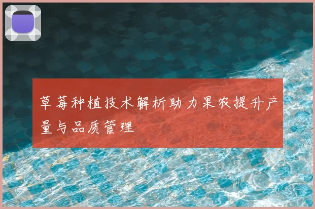 草莓种植技术解析助力果农提升产量与品质管理