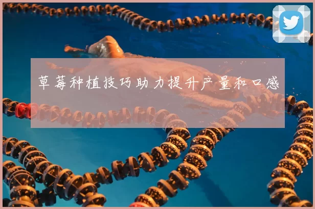 草莓种植技巧助力提升产量和口感