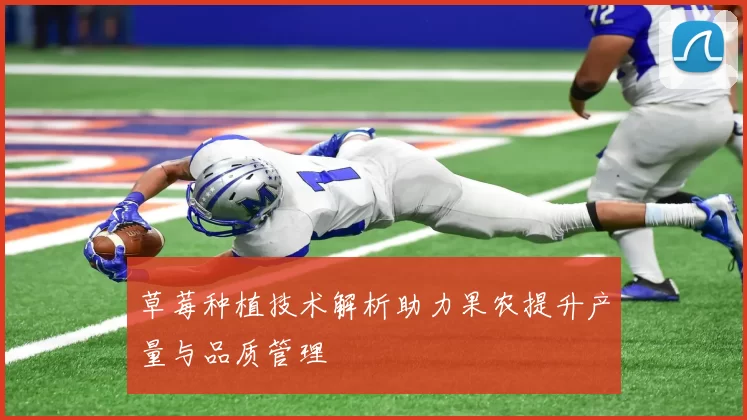 草莓种植技术解析助力果农提升产量与品质管理