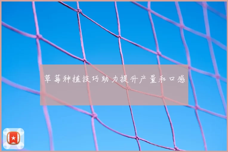 草莓种植技巧助力提升产量和口感